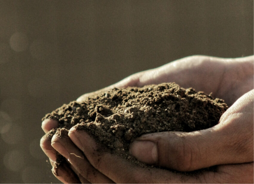 Soil in farmers hand